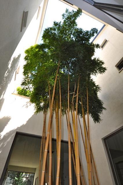 La Dimora Residence Milano Eksteriør billede